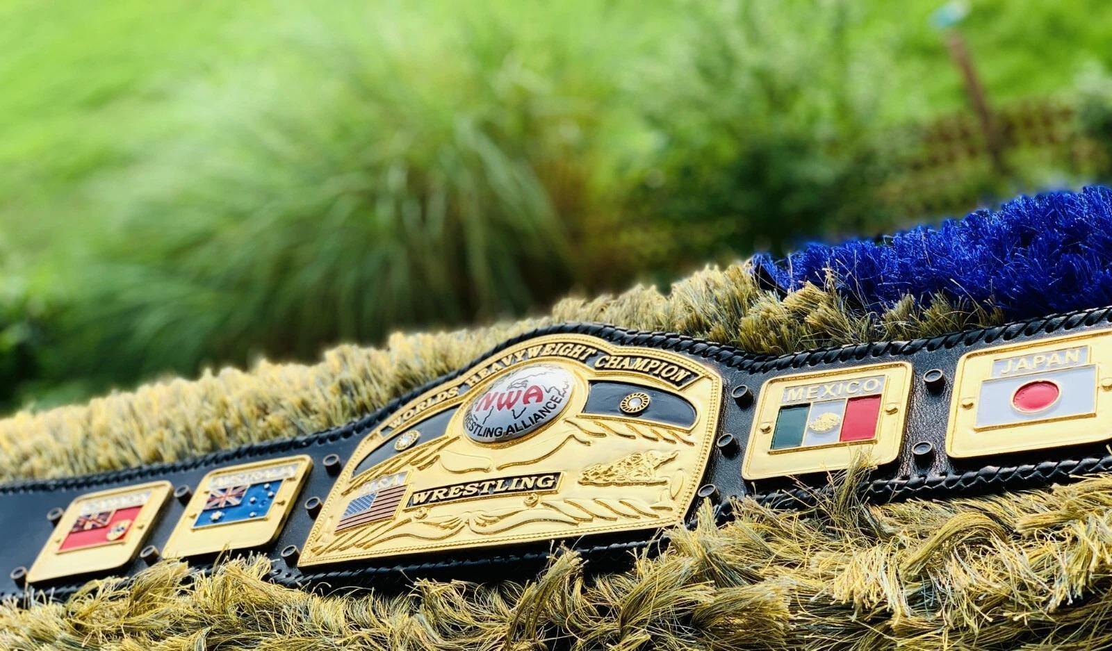 NWA Domed Globe World Heavyweight Wrestling Championship Replica Belt