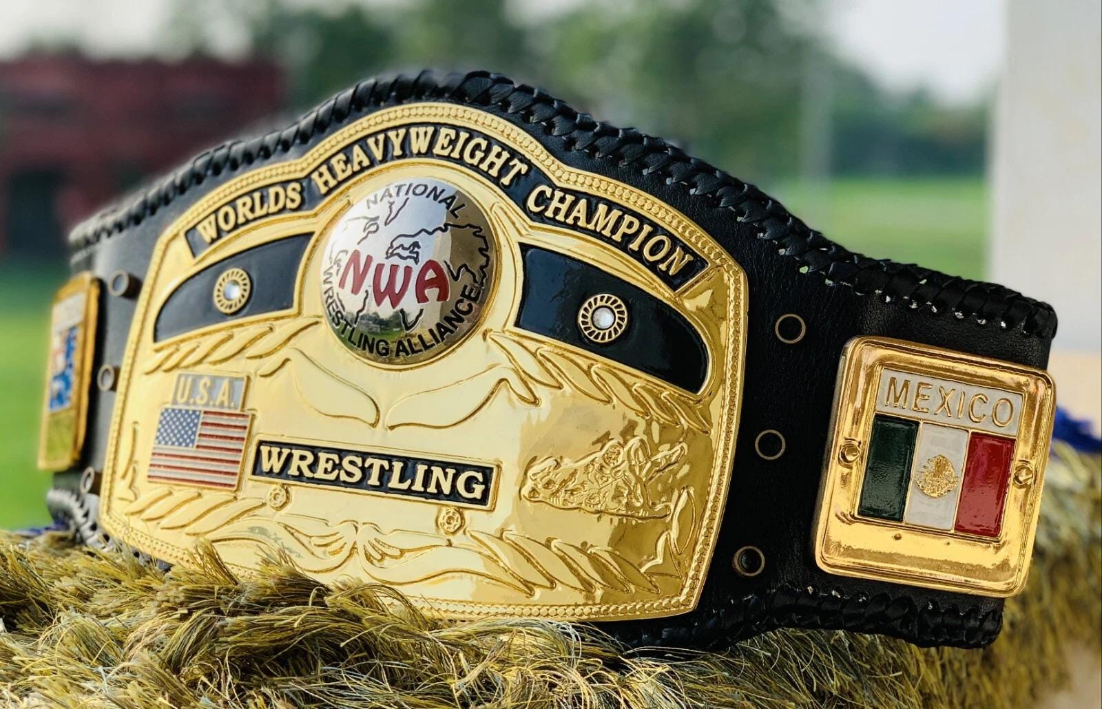 NWA Domed Globe World Heavyweight Wrestling Championship Replica Belt