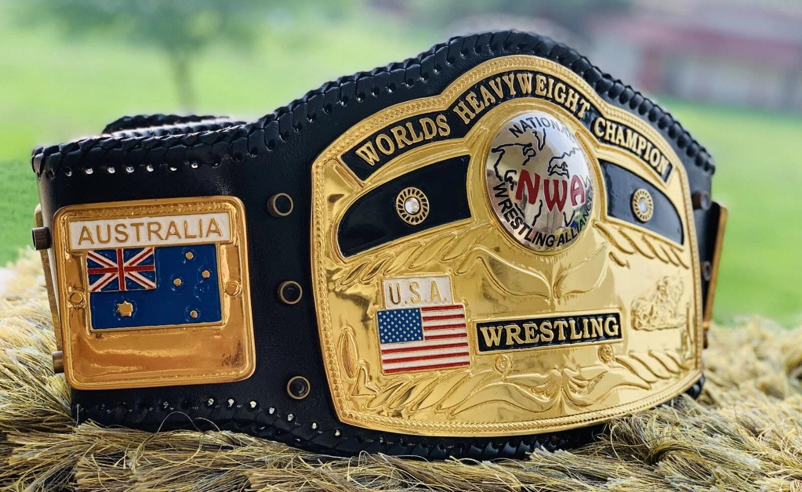 NWA Domed Globe World Heavyweight Wrestling Championship Replica Belt