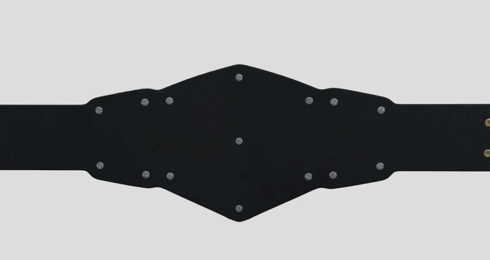 NXT Tag Team Championship Replica Title Belt