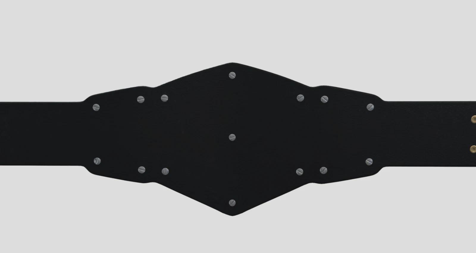 NXT Tag Team Championship Replica Title Belt