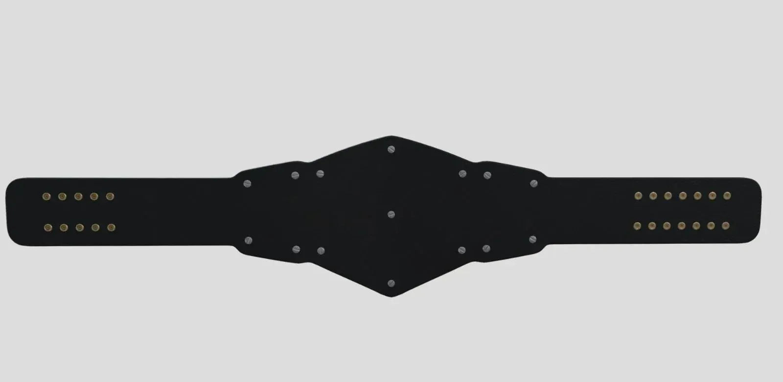 NXT Tag Team Championship Replica Title Belt