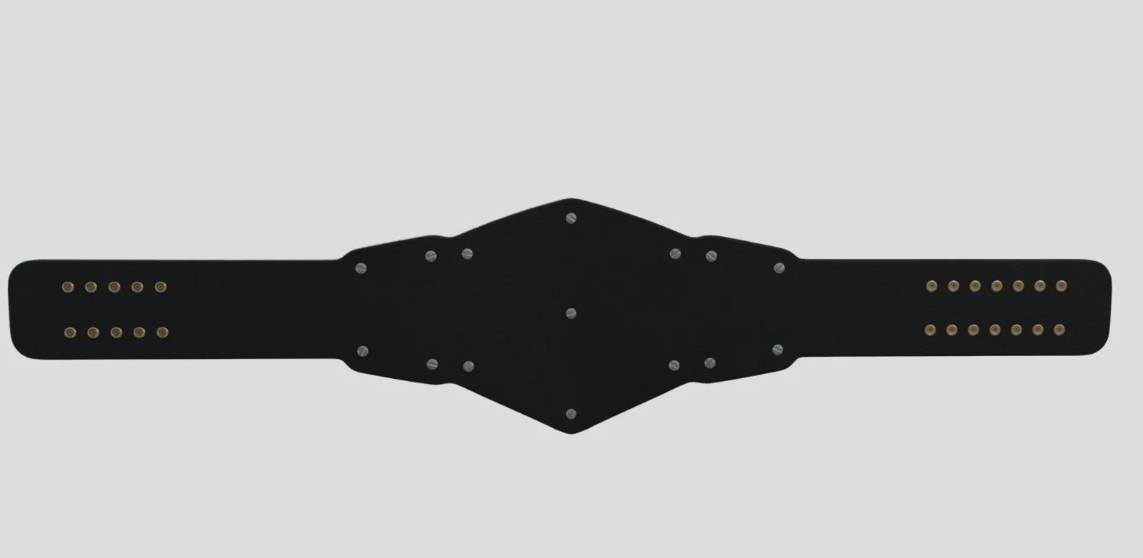 NXT Tag Team Championship Replica Title Belt