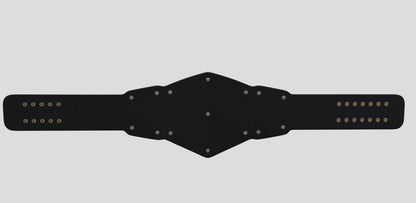 NXT Tag Team Championship Replica Title Belt